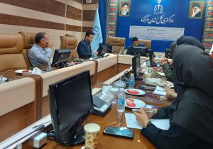 تشکیل ۱۲ کمیته آسیب‌های اجتماعی در استان