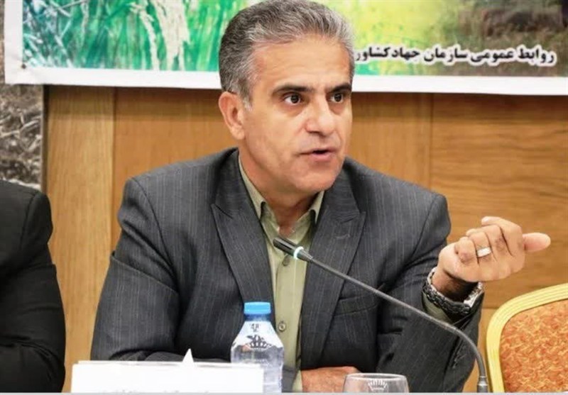 تأمین کمباین و افزایش دوره بازپرداخت تسهیلات کشاورزان