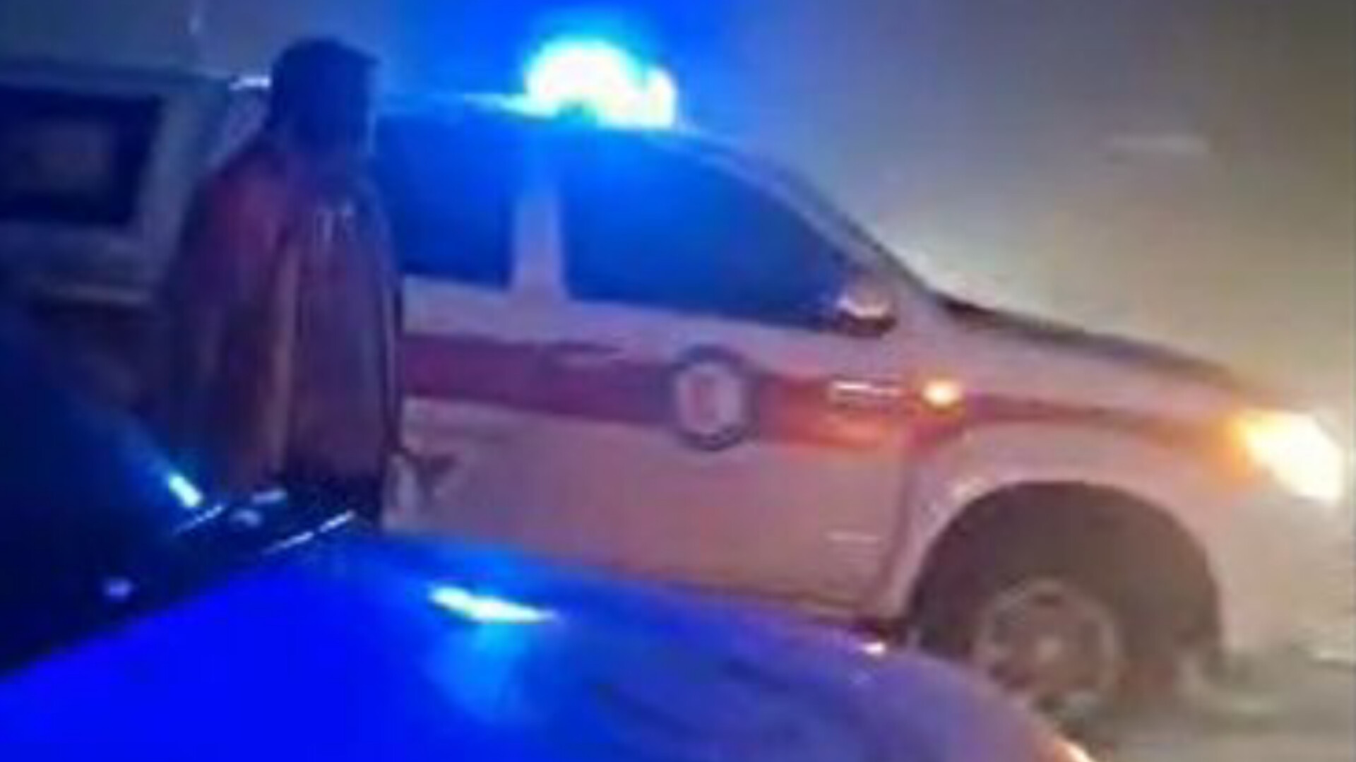 گله با چوپان در مه گم شد