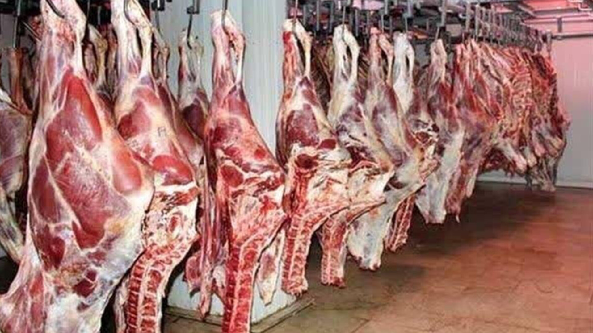 کشف ۱۸هزار و ۶۴۰ کیلو فراورده‌ دام غیربهداشتی