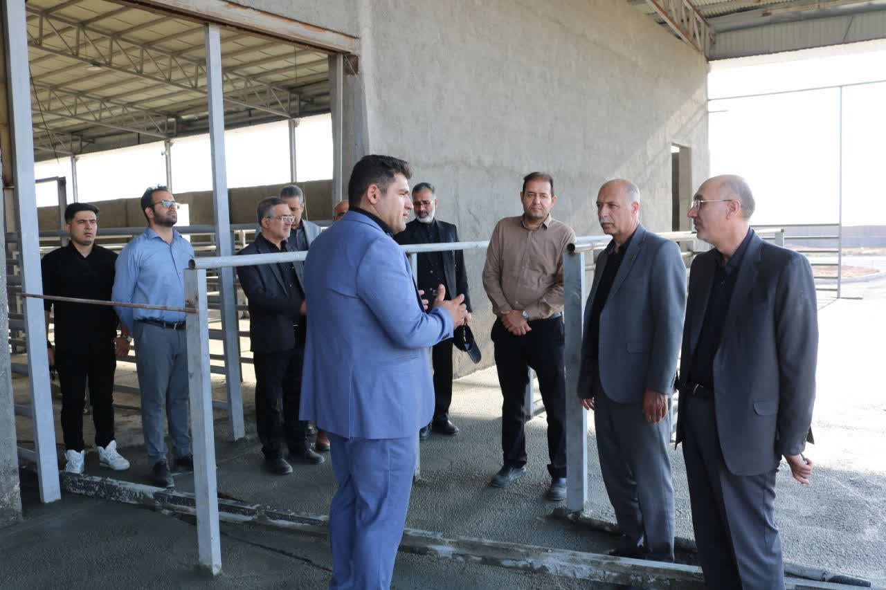 کشتارگاه صنعتی داودآباد نماد خودکفایی صنعتی استان مرکزی