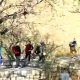 منطقه گردشگری دره گردو قطب ورزش‌های کوهستانی می‌شود