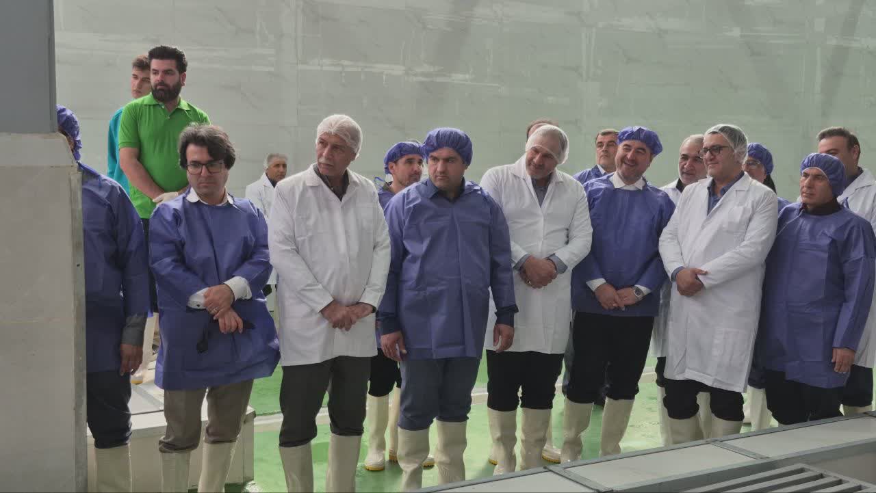 مجتمع کشتارگاه صنعتی روستایی داودآباد به بهره‌برداری رسید